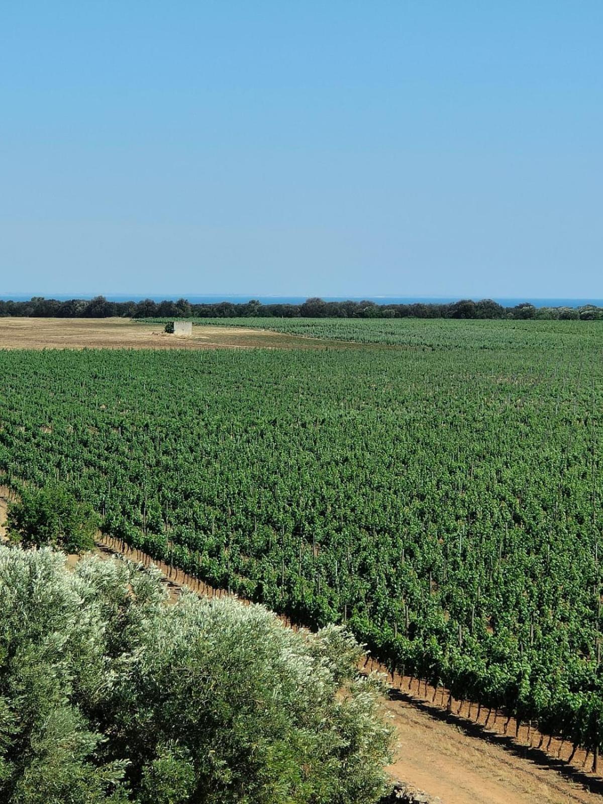 Nordisk Village Puglia Manduria Zewnętrze zdjęcie